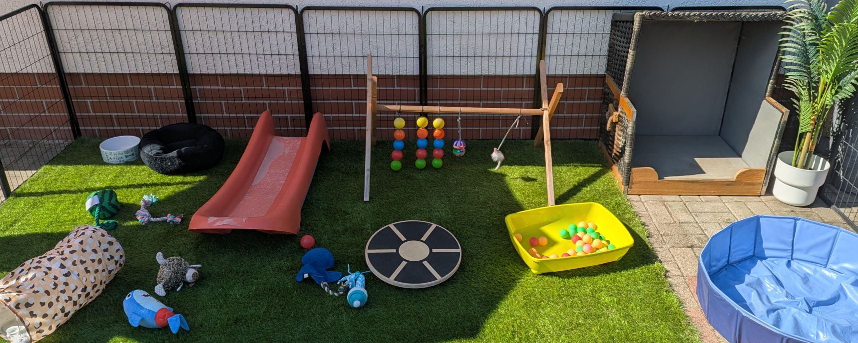welpenspielplatz